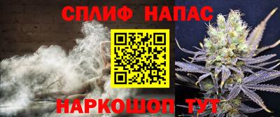 мдпв Гусь-Хрустальный