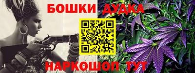 мдпв Гусь-Хрустальный