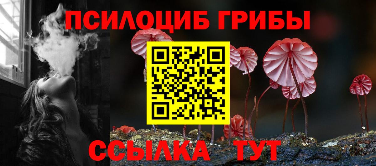 Менделеевск  Галлюциногенные грибы MAGIC MUSHROOMS  Вход с VPN 